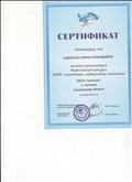 Сертификат Всероссийский конкурс "Кит"
